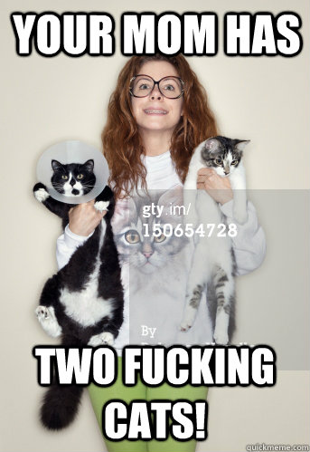 Your Mom Has Two Fucking Cats!  weird insults