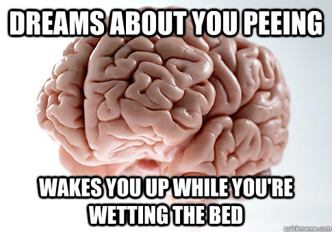 Dreams about you peeing Wakes you up while you're wetting the bed  Scumbag Brain