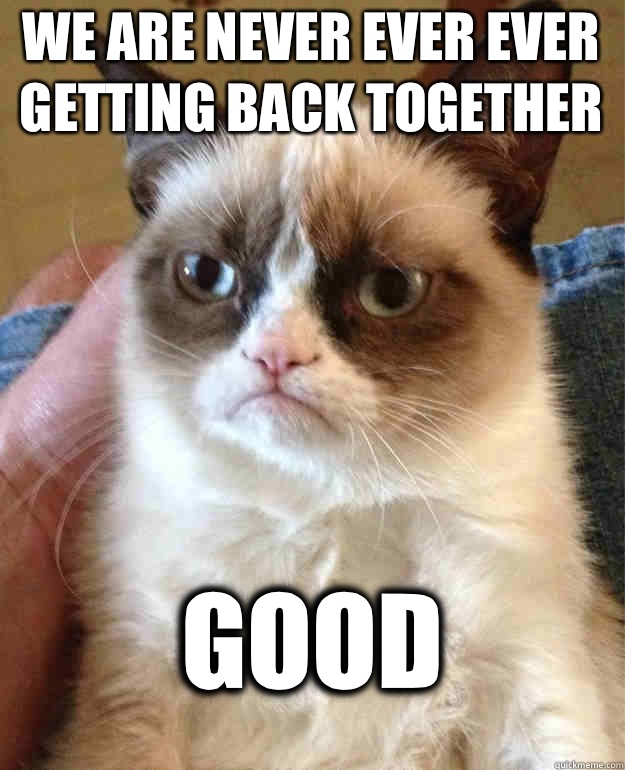 We are never ever ever getting back together GOOD  Grumpy Cat