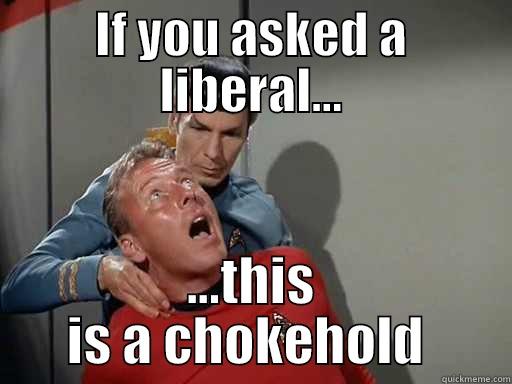 ask a liberal... - IF YOU ASKED A LIBERAL... ...THIS IS A CHOKEHOLD  Misc