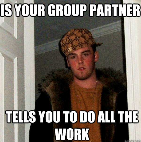 is your group partner tells you to do all the work - is your group partner tells you to do all the work  Scumbag Steve