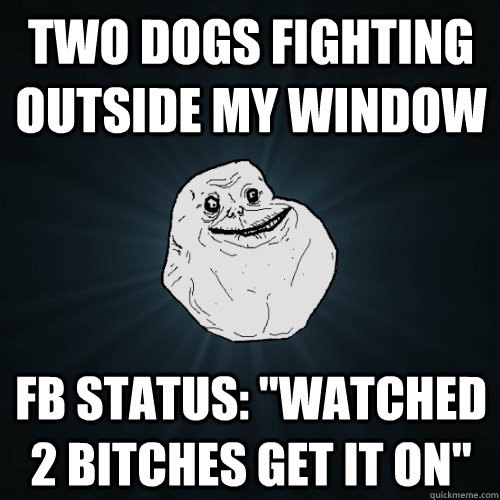 two dogs fighting outside my window FB status: 