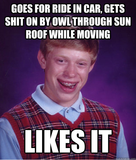 Goes for ride in car, gets shit on by owl through sun roof while moving  likes it  Bad Luck Brian