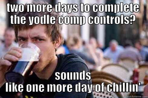 TWO MORE DAYS TO COMPLETE THE YODLE COMP CONTROLS? SOUNDS LIKE ONE MORE DAY OF CHILLIN' Lazy College Senior