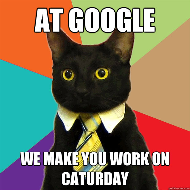 At google we make you work on caturday  Business Cat