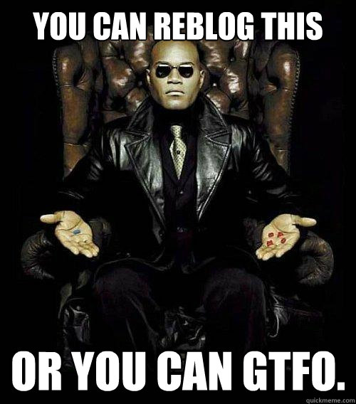 You can reblog this or you can gtfo.  Morpheus