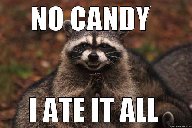 No candy . - NO CANDY  I ATE IT ALL Evil Plotting Raccoon