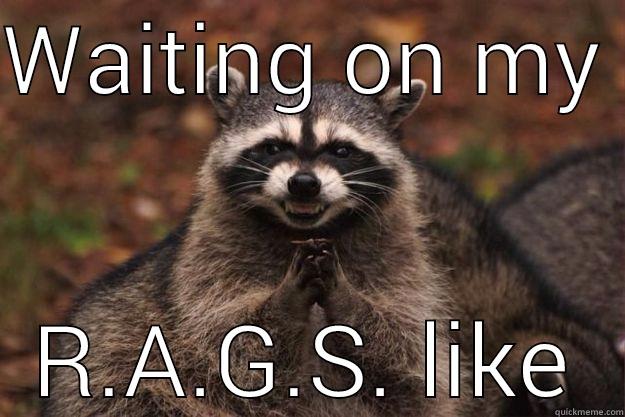 WAITING ON MY  R.A.G.S. LIKE Evil Plotting Raccoon