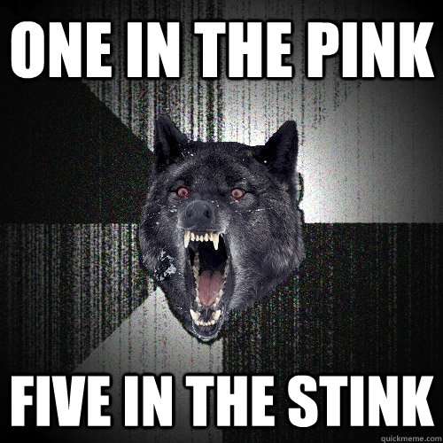 One in the PInk  FIVE IN THE stink  Insanity Wolf