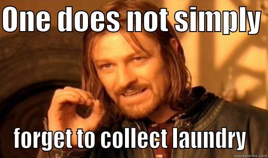 laundy ollection - ONE DOES NOT SIMPLY  FORGET TO COLLECT LAUNDRY  Boromir