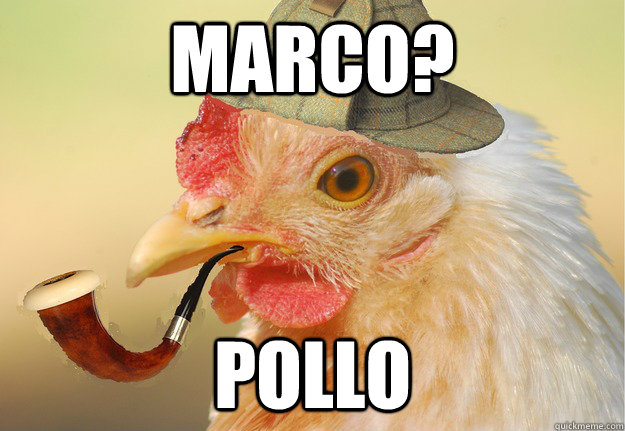 Marco? POLLO  Chicken Detective