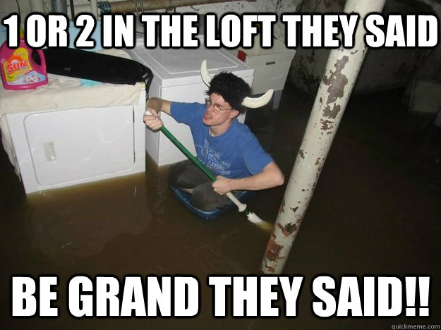 1 or 2 in the loft they said be grand they said!!  Do the laundry they said