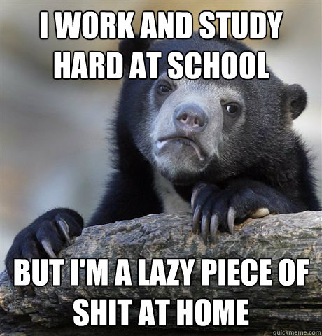 I work and study hard at school But i'm a lazy piece of shit at home - I work and study hard at school But i'm a lazy piece of shit at home  Confession Bear