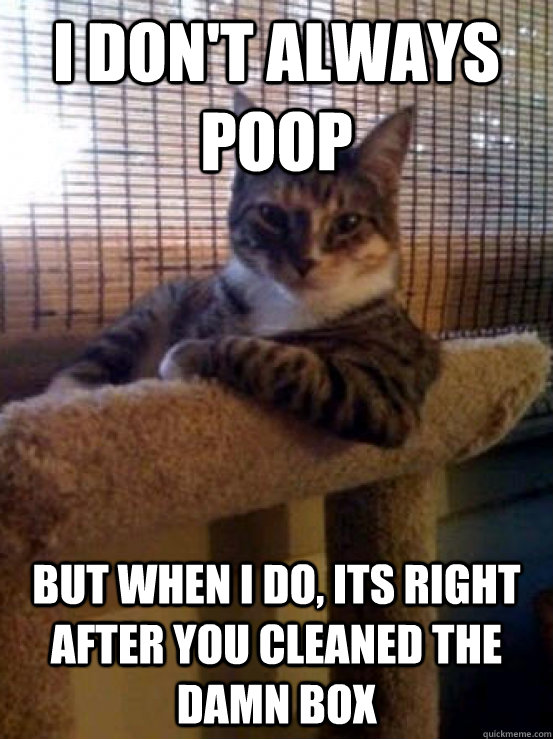 i don't always poop But when I do, its right after you cleaned the damn box - i don't always poop But when I do, its right after you cleaned the damn box  Misc