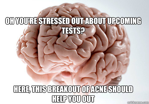 Oh you're stressed out about upcoming tests? Here, this breakout of acne should help you out    Scumbag Brain