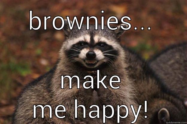 BROWNIES... MAKE ME HAPPY! Evil Plotting Raccoon