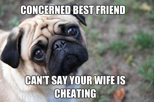 Concerned best friend Can't say your wife is cheating  First World Dog problems