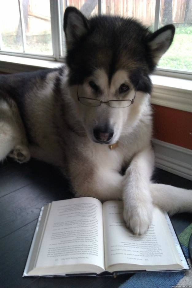    Condescending Literary Pun Dog