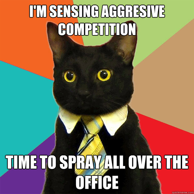 I'm sensing aggresive competition time to Spray all over the office  Business Cat