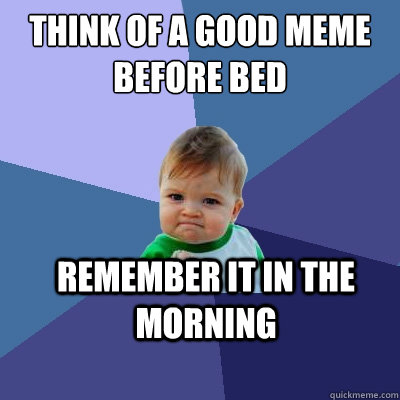 Think of a good meme before bed remember it in the morning  Success Kid