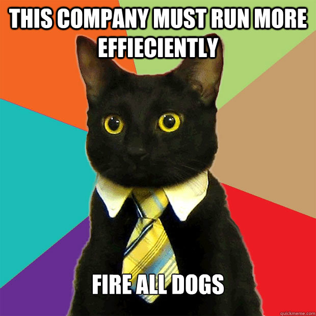 this company must run more effieciently fire all dogs  Business Cat