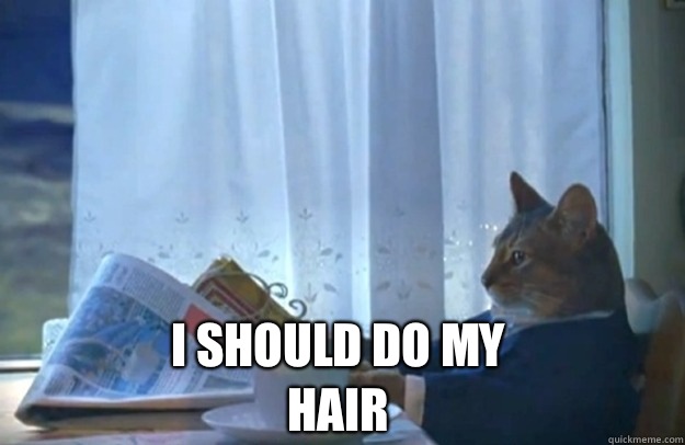 I should do my hair  Sophisticated Cat