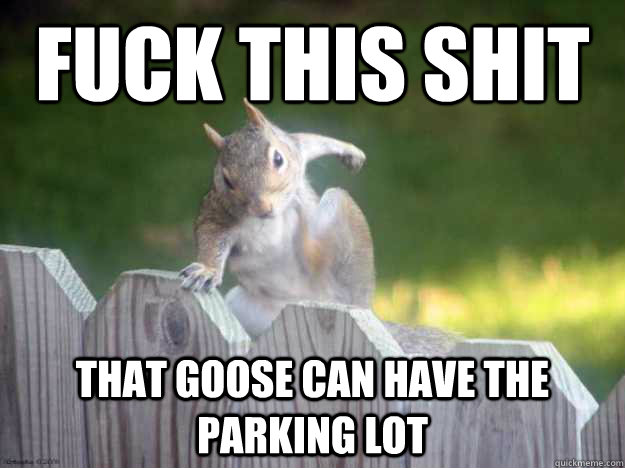 fuck this shit that goose can have the parking lot  Parkour Squirrel