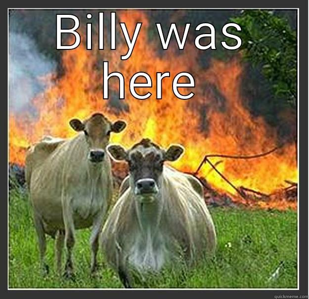 BILLY WAS HERE  Evil cows