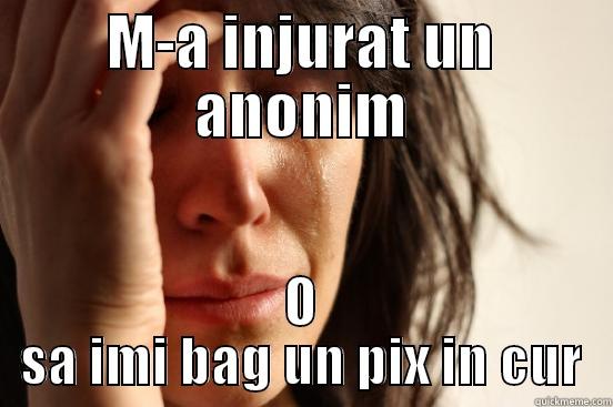 M-A INJURAT UN ANONIM O SA IMI BAG UN PIX IN CUR First World Problems