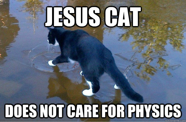 Jesus cat  Does not care for physics  