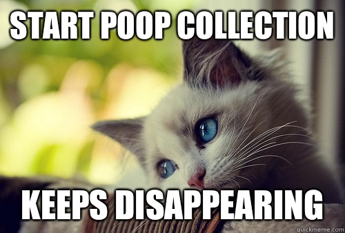 start poop collection  keeps disappearing   First World Problems Cat