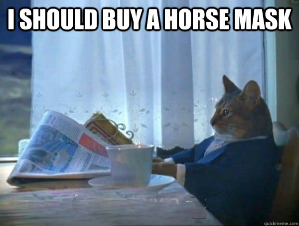 I Should buy a horse mask  morning realization newspaper cat meme