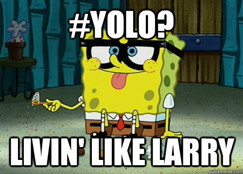 #YOLO? Livin' like larry - #YOLO? Livin' like larry  Misc