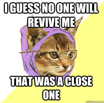 i guess no one will revive me that was a close one  Hipster Kitty