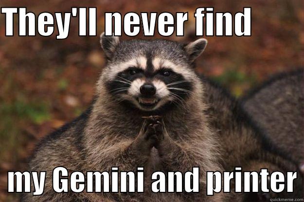 THEY'LL NEVER FIND           MY GEMINI AND PRINTER Evil Plotting Raccoon