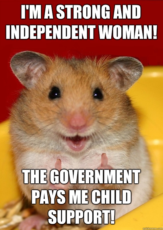 I'm a strong and independent woman! The government pays me child support!  Rationalization Hamster