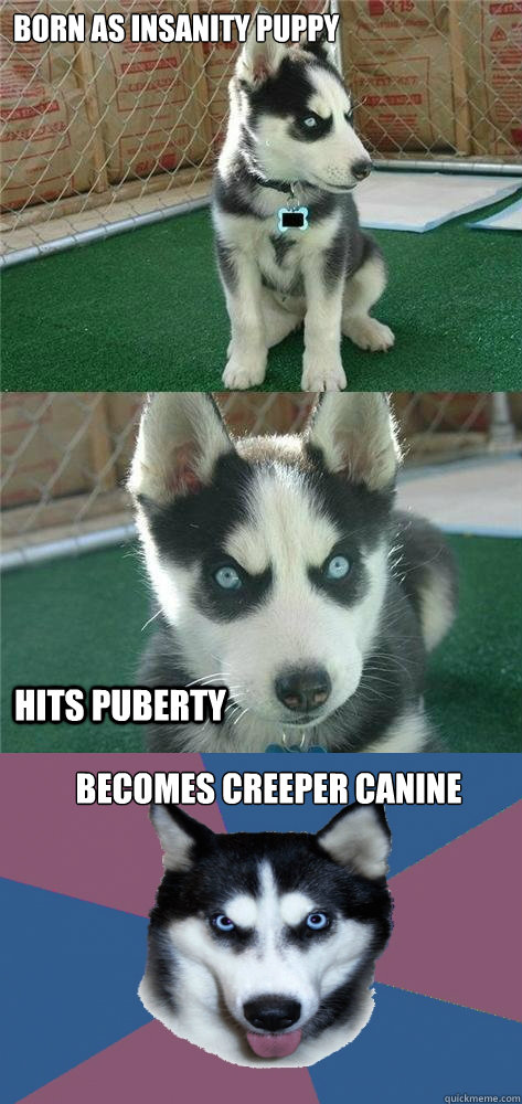 born as insanity puppy becomes creeper canine hits puberty  