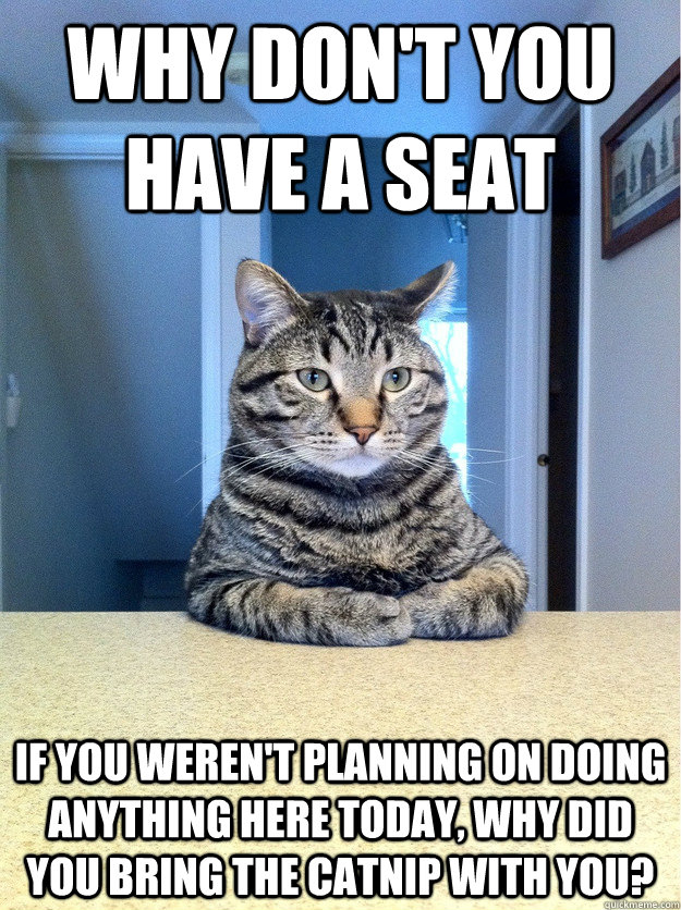 Why don't you have a seat If you weren't planning on doing anything here today, why did you bring the catnip with you?  Chris Hansen Cat