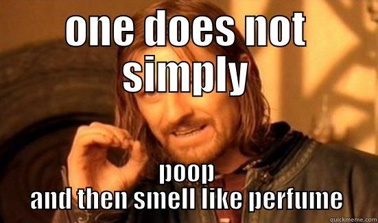 poop and perfume - ONE DOES NOT SIMPLY POOP AND THEN SMELL LIKE PERFUME Boromir