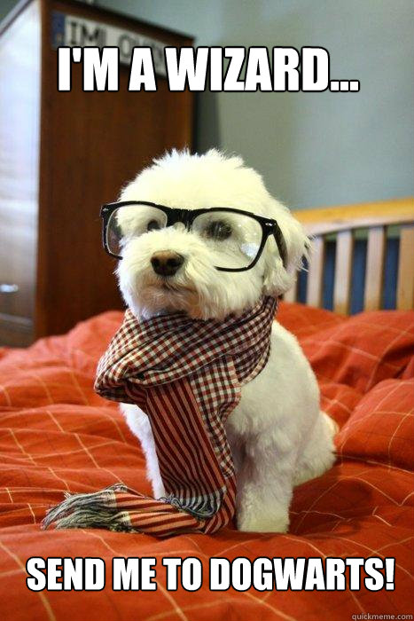 I'm a wizard... Send me to dogwarts!  Hipster Dog