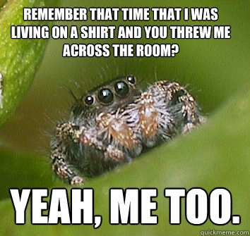 Remember that time that I was living on a shirt and you threw me across the room? YEAH, ME TOO.  Misunderstood Spider