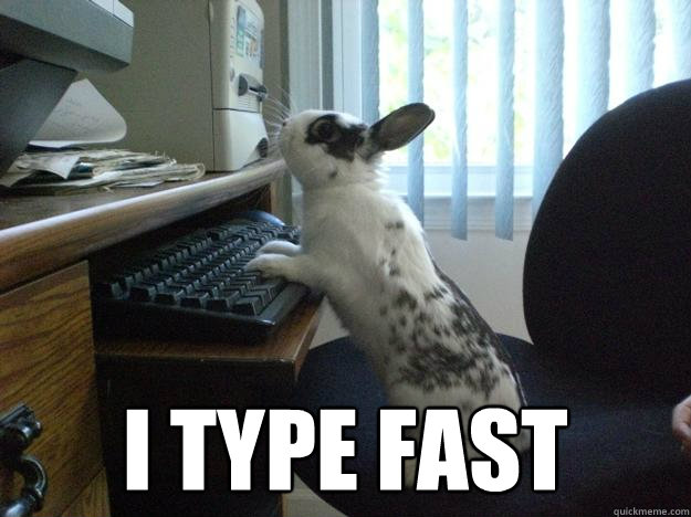  i type fast -  i type fast  Bunny at work