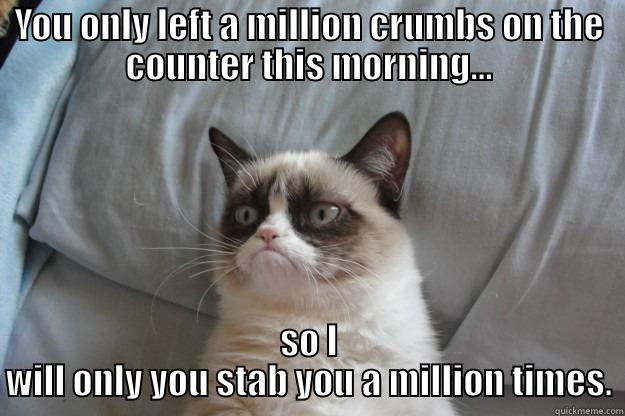 YOU ONLY LEFT A MILLION CRUMBS ON THE COUNTER THIS MORNING... SO I WILL ONLY YOU STAB YOU A MILLION TIMES. Grumpy Cat