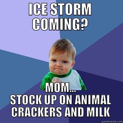 ICE STORM COMING? MOM... STOCK UP ON ANIMAL CRACKERS AND MILK Success Kid