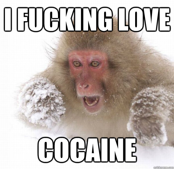 I FUCKING LOVE COCAINE - I FUCKING LOVE COCAINE  Misc