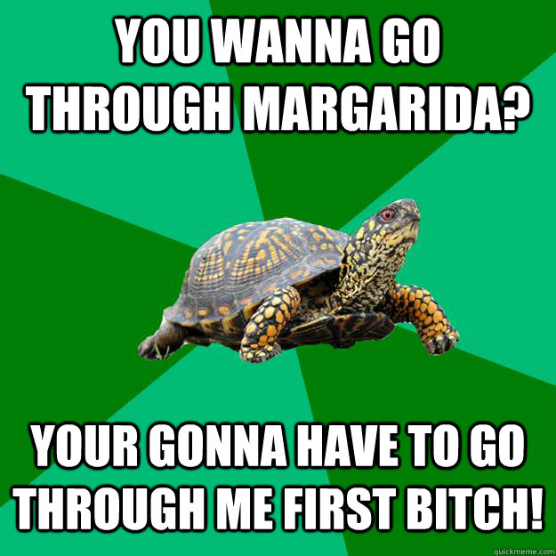 You wanna go through margarida? Your gonna have to go through me first Bitch!  Torrenting Turtle