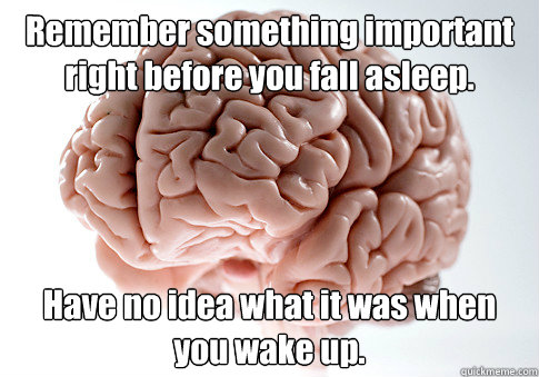 Remember something important right before you fall asleep. Have no idea what it was when you wake up.    Scumbag Brain