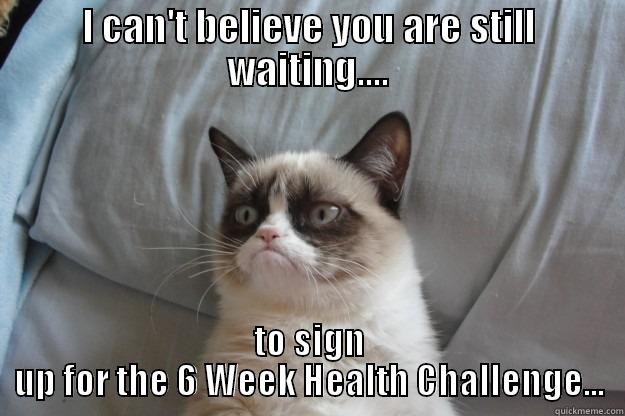 Fur real? - I CAN'T BELIEVE YOU ARE STILL WAITING.... TO SIGN UP FOR THE 6 WEEK HEALTH CHALLENGE... Grumpy Cat