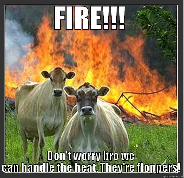 Where is the Heat??? - FIRE!!! DON'T WORRY BRO WE CAN HANDLE THE HEAT. THEY'RE FLOPPERS! Evil cows