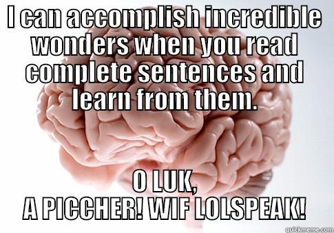 This is yr brain on memes - I CAN ACCOMPLISH INCREDIBLE WONDERS WHEN YOU READ COMPLETE SENTENCES AND LEARN FROM THEM. O LUK, A PICCHER! WIF LOLSPEAK! Scumbag Brain